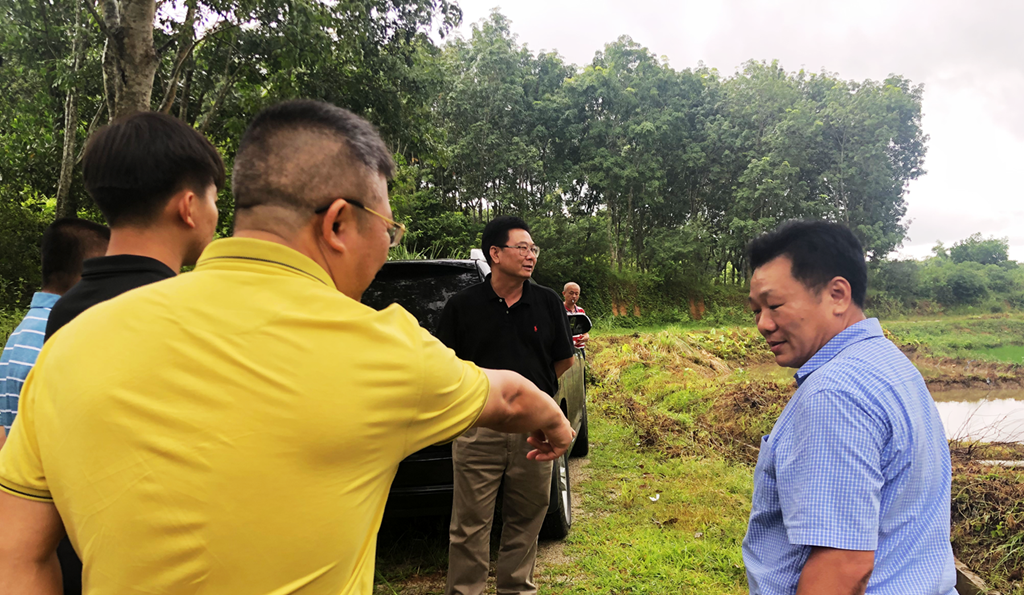 首页|3499拉斯维加斯集团官方网站