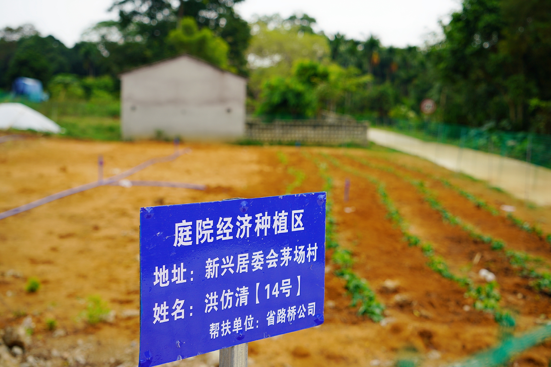 首页|3499拉斯维加斯集团官方网站