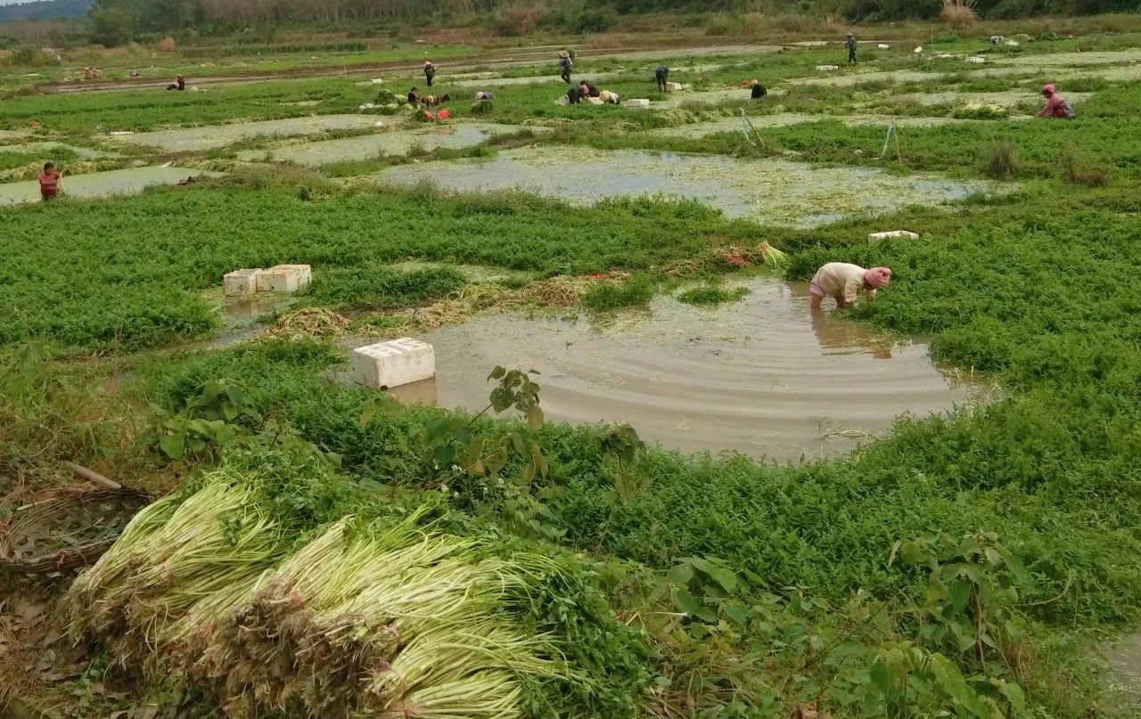 首页|3499拉斯维加斯集团官方网站