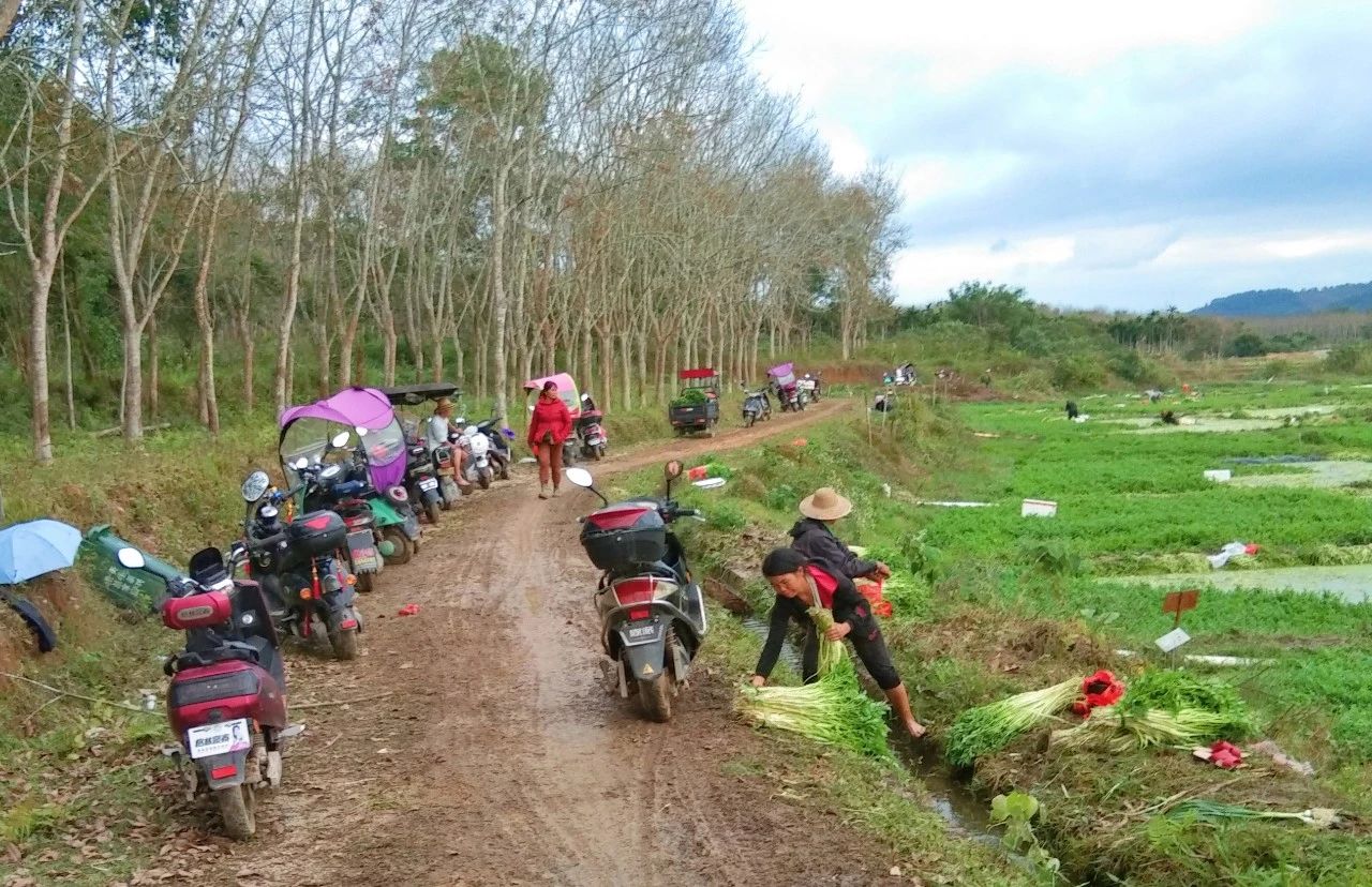 首页|3499拉斯维加斯集团官方网站