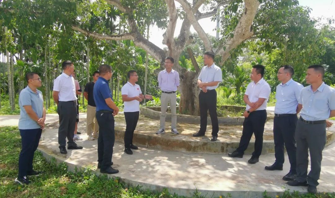 首页|3499拉斯维加斯集团官方网站